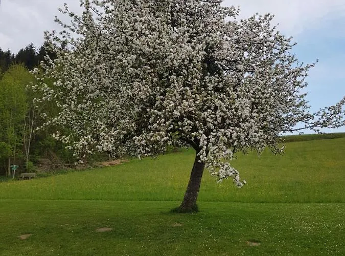 Berg Weingarten Garni 호텔