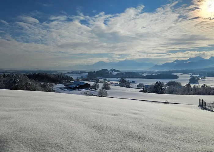 Berg Weingarten Garni 림스팅