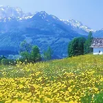 Hotel Berg Weingarten Garni Rimsting