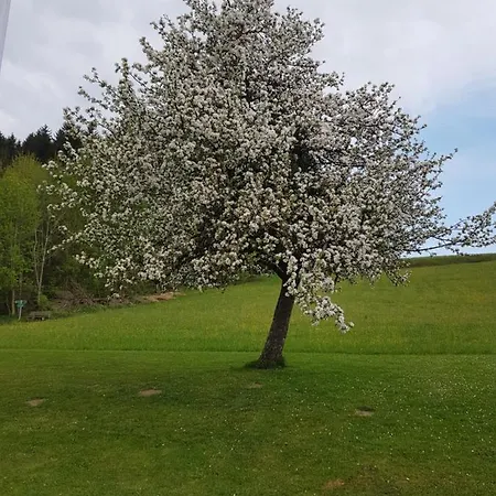 Berg Weingarten Garni Hotel