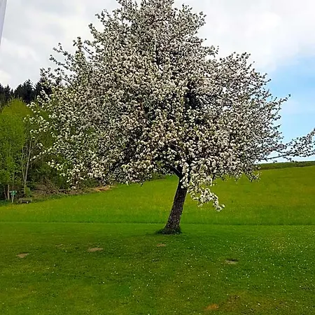 Berg Weingarten 3*