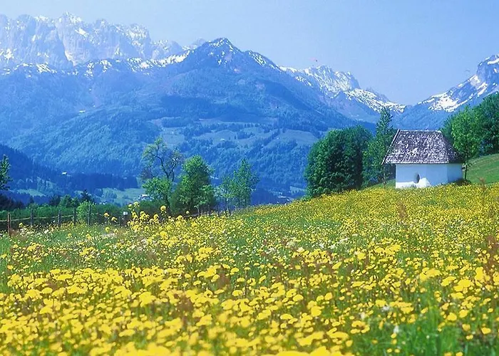 فندق Berg Weingarten Garni ريمستينغ
